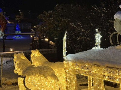 OPG Tihomir Lučić Gornji Dolac