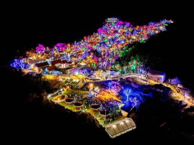 OPG Tihomir Lučić Gornji Dolac