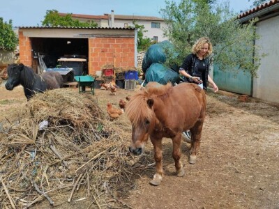 OPG Tina Kovač De Faveri OPG Tina Kovač De Faveri