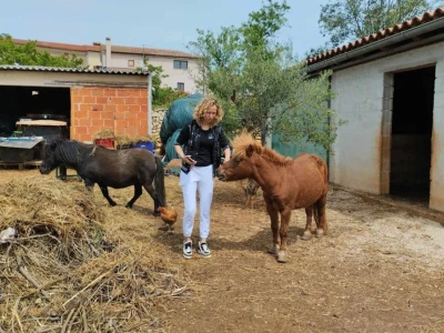 OPG Tina Kovač De Faveri