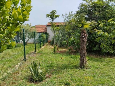 OPG Tina Kovač De Faveri OPG Tina Kovač De Faveri