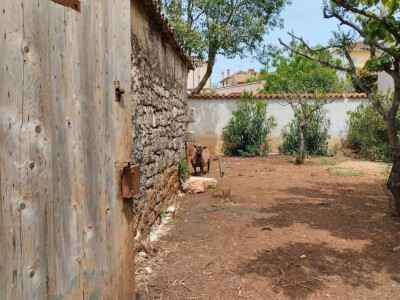 OPG Tina Kovač De Faveri OPG Tina Kovač De Faveri