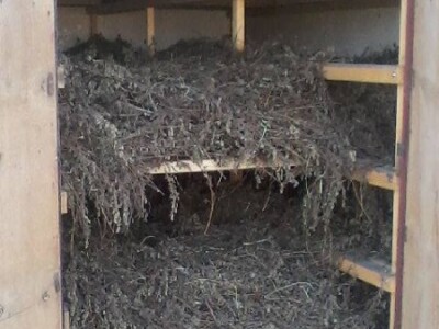 Krenulo je s rekreativnim uzgojem, a završili kao profesionalci