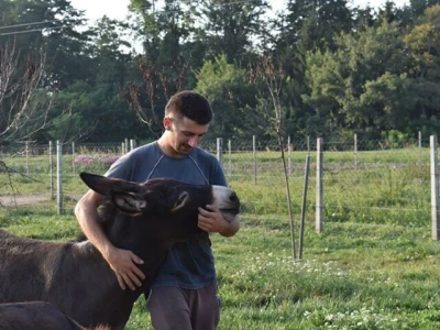 OPG Tomiša Marko uzgaja magarce zbog mlijeka - šire se i planiraju nove proizvode