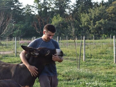 OPG Tomiša Marko uzgaja magarce zbog mlijeka - šire se i planiraju nove proizvode