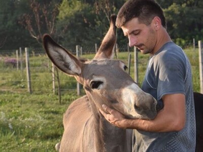 OPG Tomiša Marko uzgaja magarce zbog mlijeka - šire se i planiraju nove proizvode