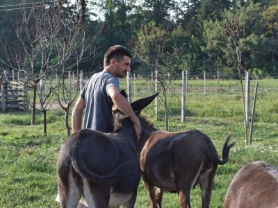 OPG Tomiša Marko uzgaja magarce zbog mlijeka - šire se i planiraju nove proizvode