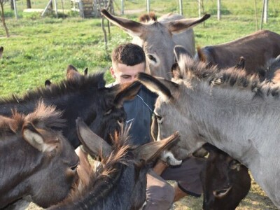 OPG Tomiša Marko uzgaja magarce zbog mlijeka - šire se i planiraju nove proizvode