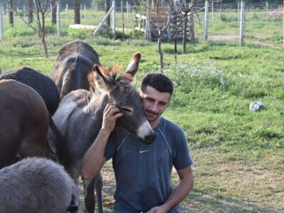 OPG Tomiša Marko uzgaja magarce zbog mlijeka - šire se i planiraju nove proizvode