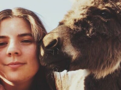 OPG Tomiša Marko uzgaja magarce zbog mlijeka - šire se i planiraju nove proizvode