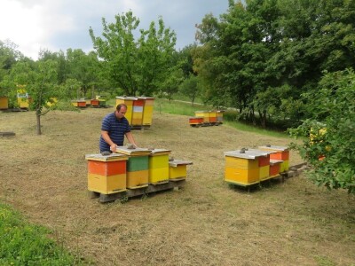 OPG Tomislav Jedličko