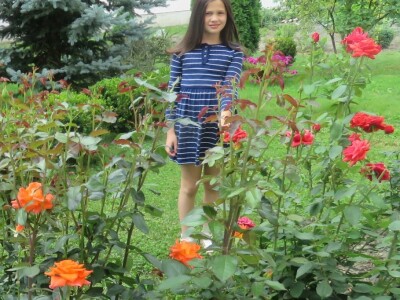 OPG Tomislav Jedličko