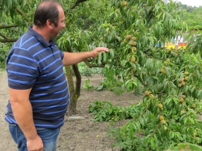 OPG Tomislav Jedličko