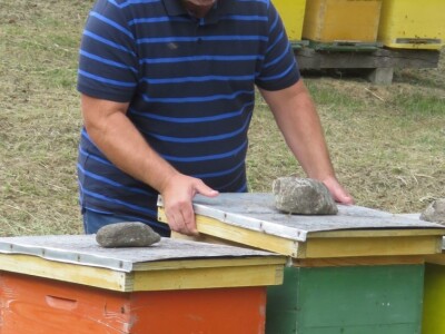 OPG Tomislav Jedličko