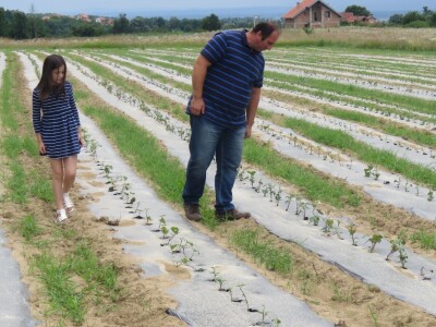 OPG Tomislav Jedličko