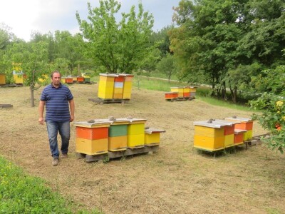 OPG Tomislav Jedličko