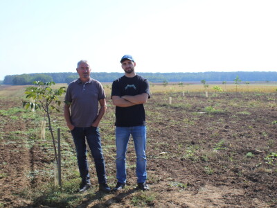 OPG Tomislav Pope - sadnice oraha chandler