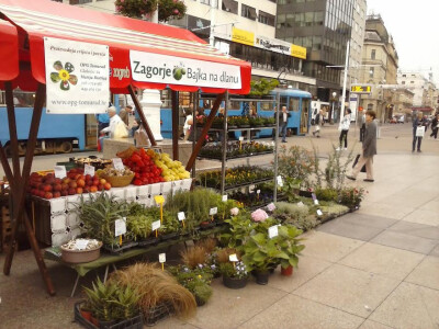 Štand sa cvijećem OPG-a Tomurad