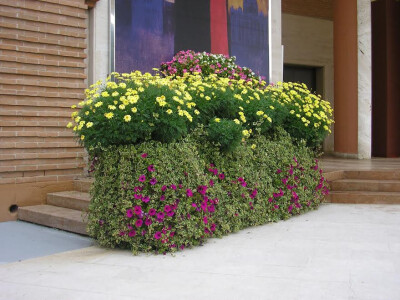 Prekrasan prizor vrijedan pohvale i divljena