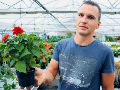 Hrvoje Tomurad - vlasnik OPG-a Tomurad