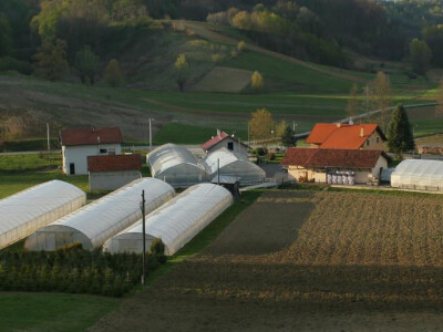 Vrijedni ljudi koji vole raditi i brinuti o svakom hektaru zemlje