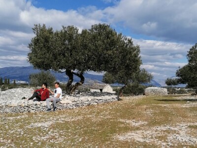 OPG Toni Gospodnetić - Pinka