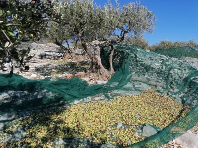 OPG Toni Gospodnetić - Pinka