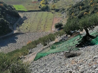 OPG Toni Gospodnetić - Pinka