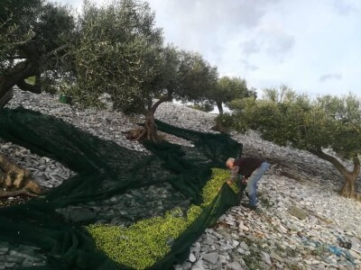 OPG Toni Gospodnetić - Pinka