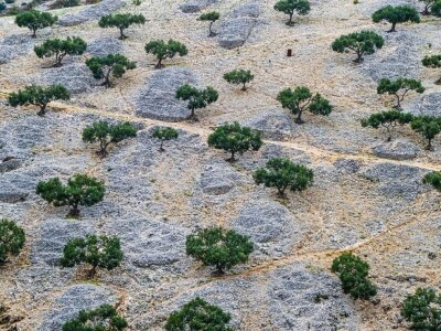 OPG Toni Gospodnetić - Pinka