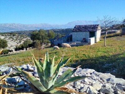 OPG Toni Gospodnetić - Pinka