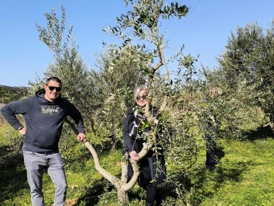 OPG Uroda: Na brdu iznad Pirovca podigao maslinarsku atrakciju