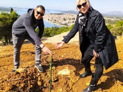 OPG Uroda: Na brdu iznad Pirovca podigao maslinarsku atrakciju