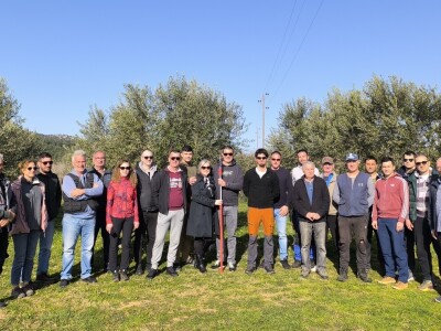 OPG Uroda: Na brdu iznad Pirovca podigao maslinarsku atrakciju