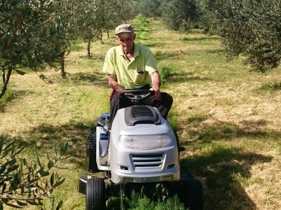 OPG Uroda: Na brdu iznad Pirovca podigao maslinarsku atrakciju