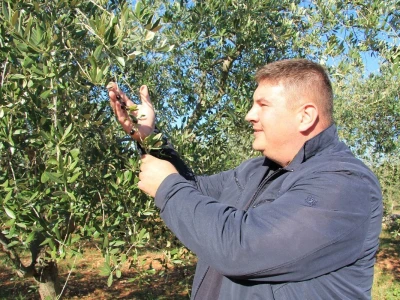 OPG Valter Šarić