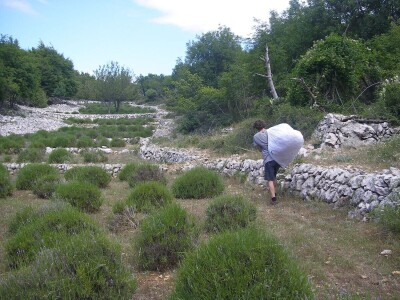 OPG Velčić Loredana