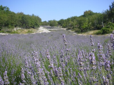 OPG Velčić Loredana