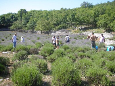 OPG Velčić Loredana