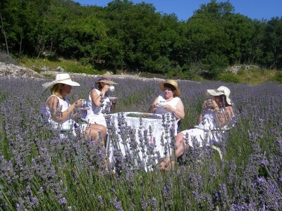 OPG Velčić Loredana