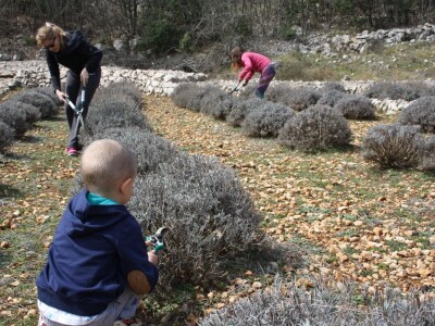 OPG Velčić Loredana