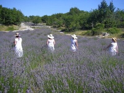 OPG Velčić Loredana
