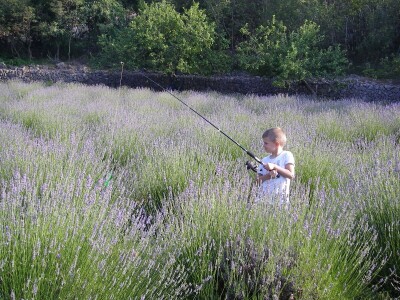 OPG Velčić Loredana