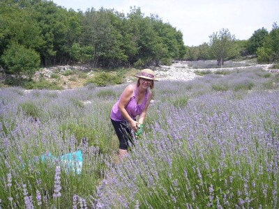 OPG Velčić Loredana