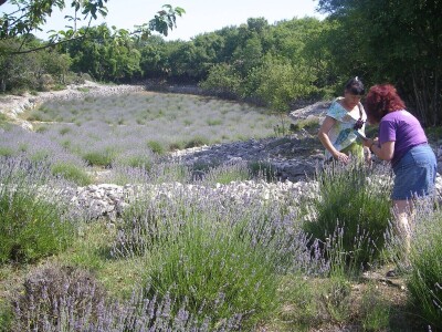 OPG Velčić Loredana