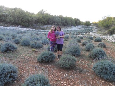 OPG Velčić Loredana