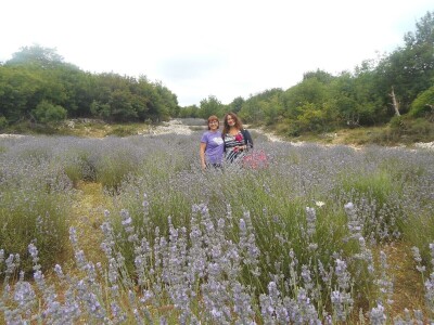 OPG Velčić Loredana