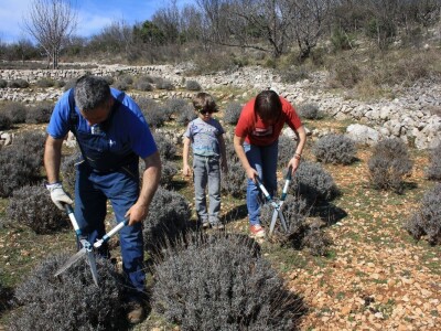 OPG Velčić Loredana