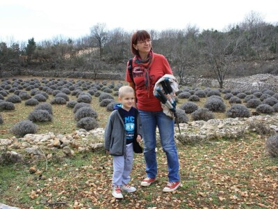 OPG Velčić Loredana