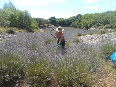 OPG Velčić Loredana
